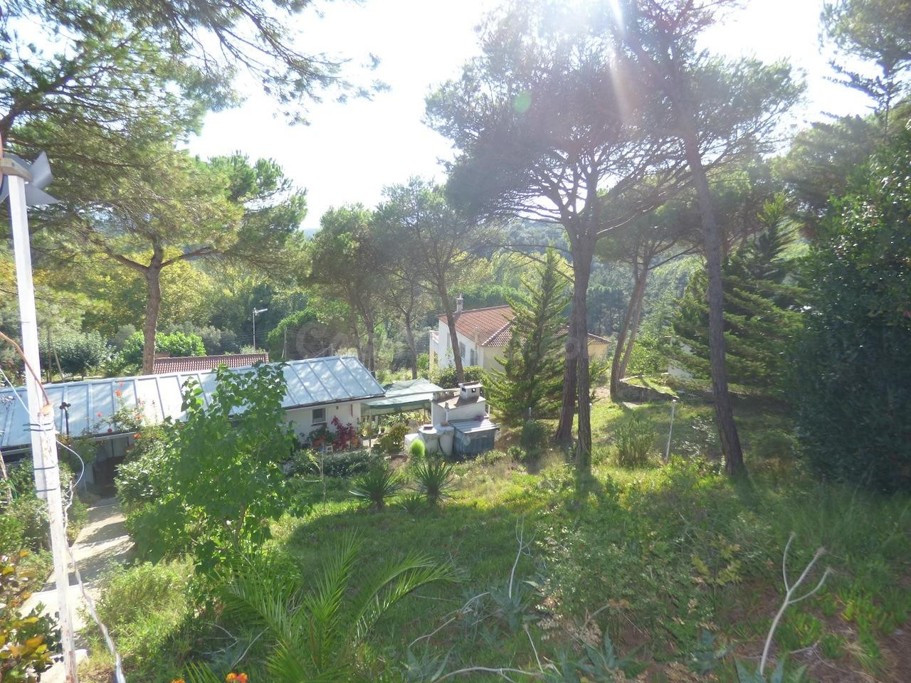 Terreno en Tordera Park con casa prefabricada de 30m2 - Opor - foto 2