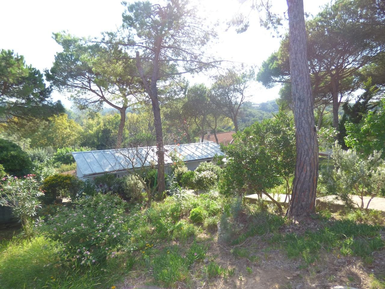 Terreno en Tordera Park con casa prefabricada de 30m2 - Opor - foto 3