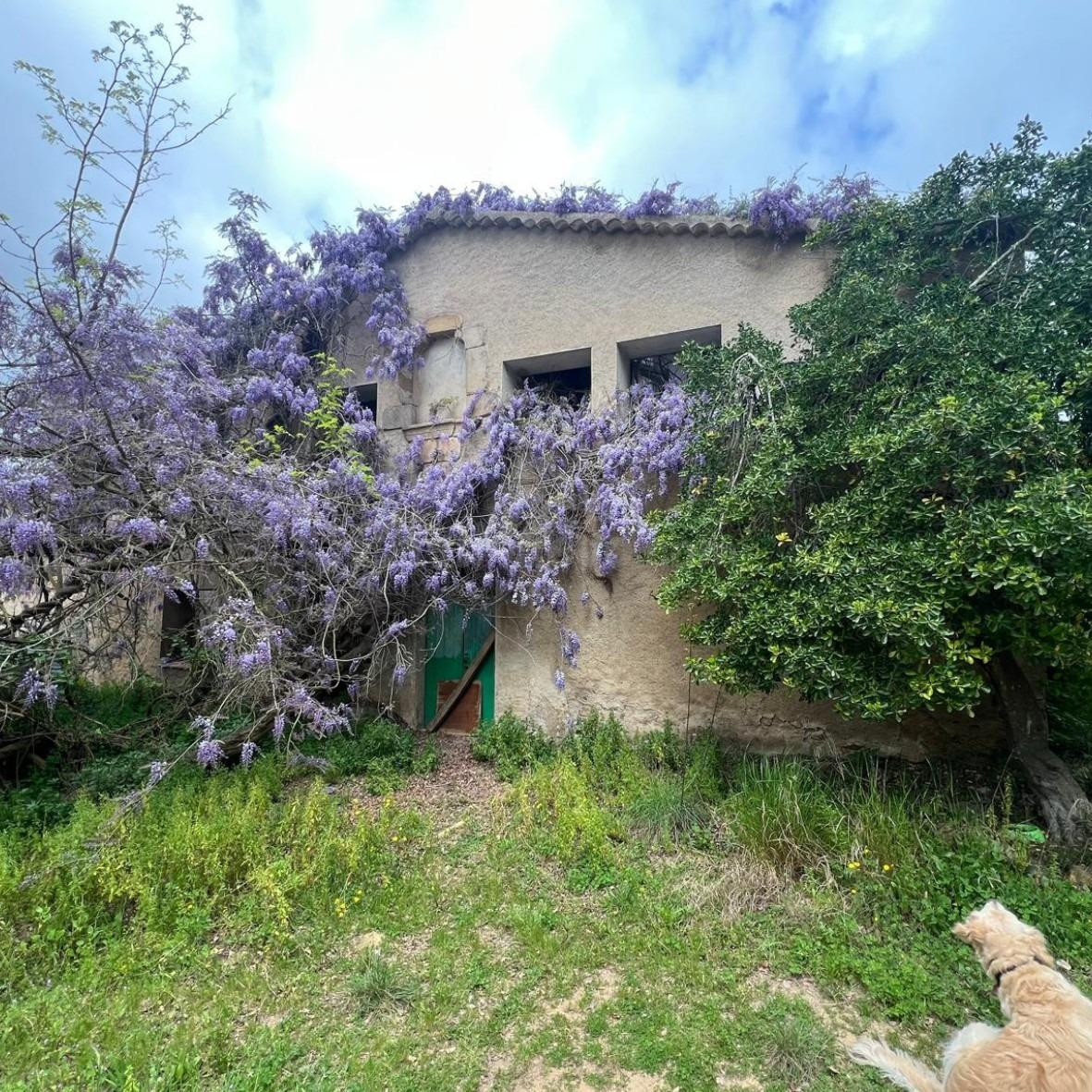 Masía histórica para rehabilitar con 19 hectáreas de terreno – Tossa de Mar