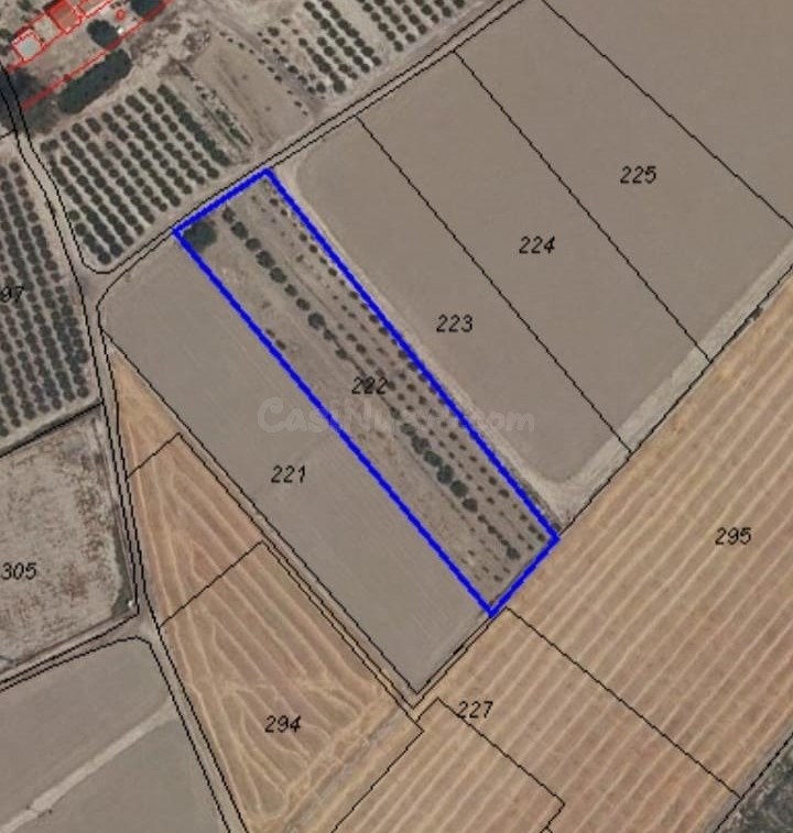 FANTÁSTICA PARCELA PARA EDIFICACIÓN DE VIVIENDA UNIFAMILIAR  - foto 2