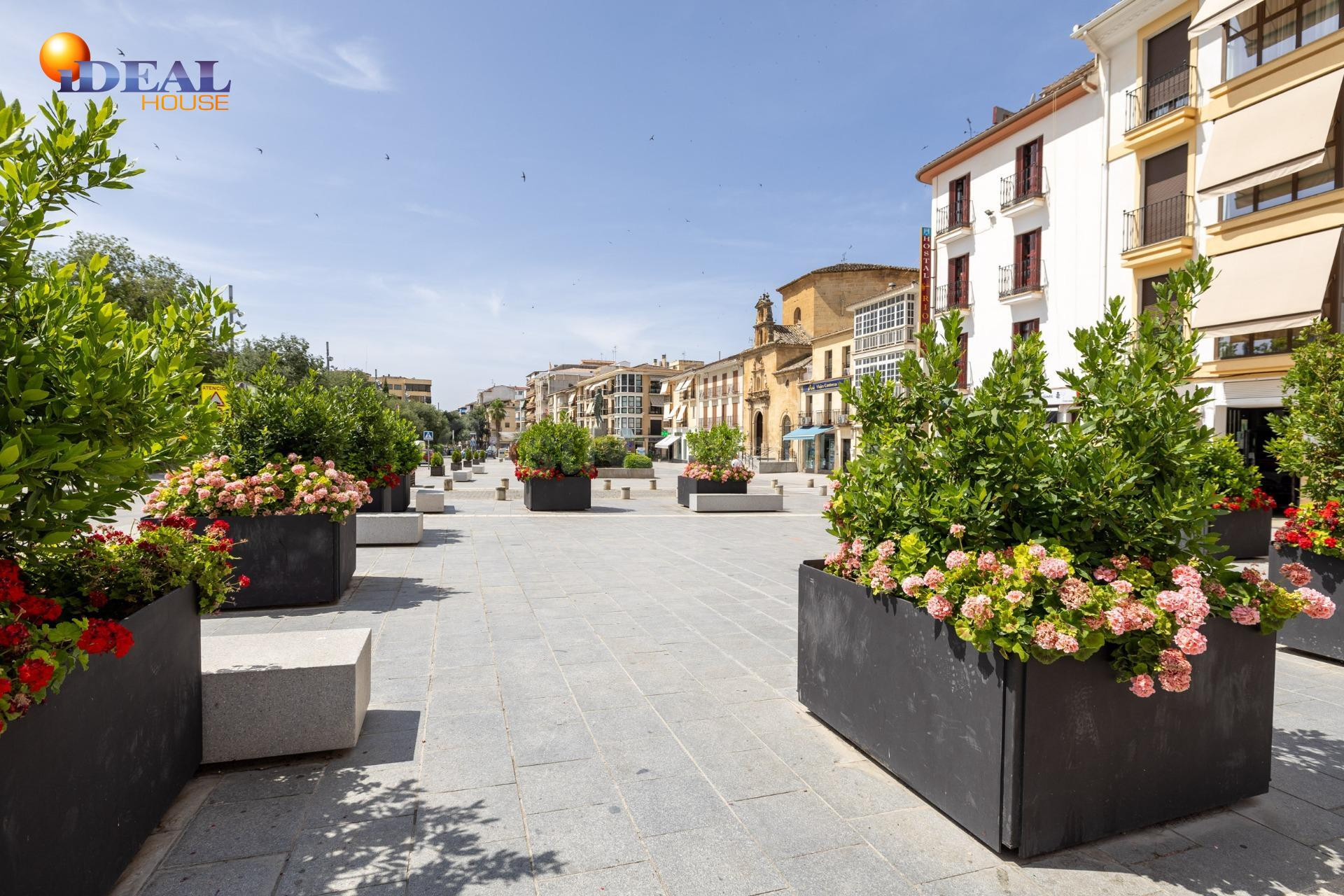 🏠 AMPLIO PISO EN EL CENTRO DE ALCALÁ LA REAL – 190 m2 CON TE