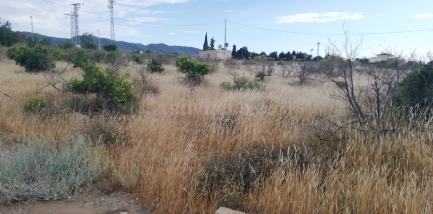 Parcela para construcción de vivienda unifamiliar en Aguaderas