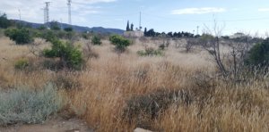 Parcela para construcción de vivienda unifamiliar en Aguader - foto 2