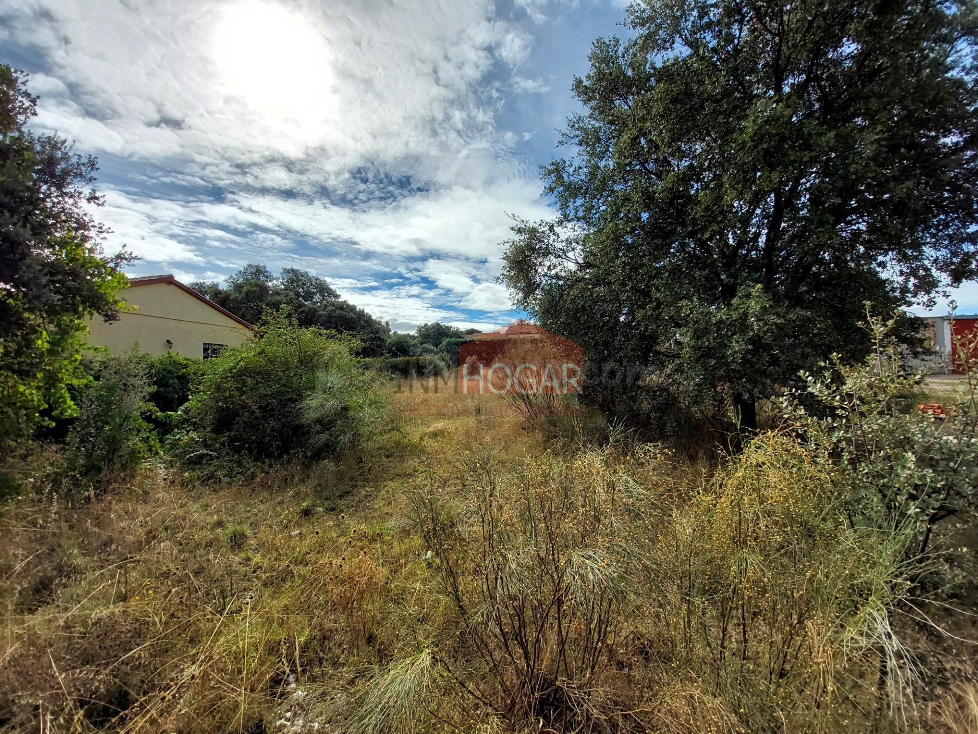 PARCELA EN EL TÉRMINO DE MAELLO, URBANIZACIÓN DE LA FONTANIL - foto 3