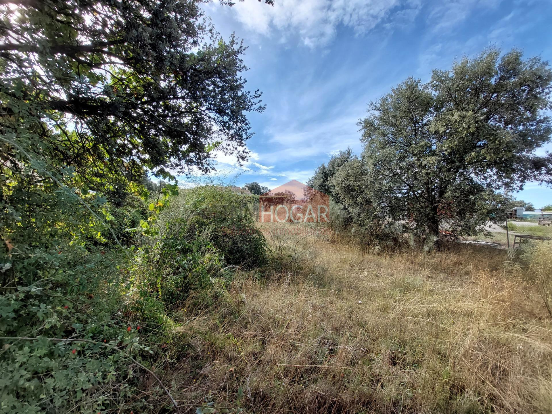 PARCELA EN EL TÉRMINO DE MAELLO, URBANIZACIÓN DE LA FONTANIL - foto 4