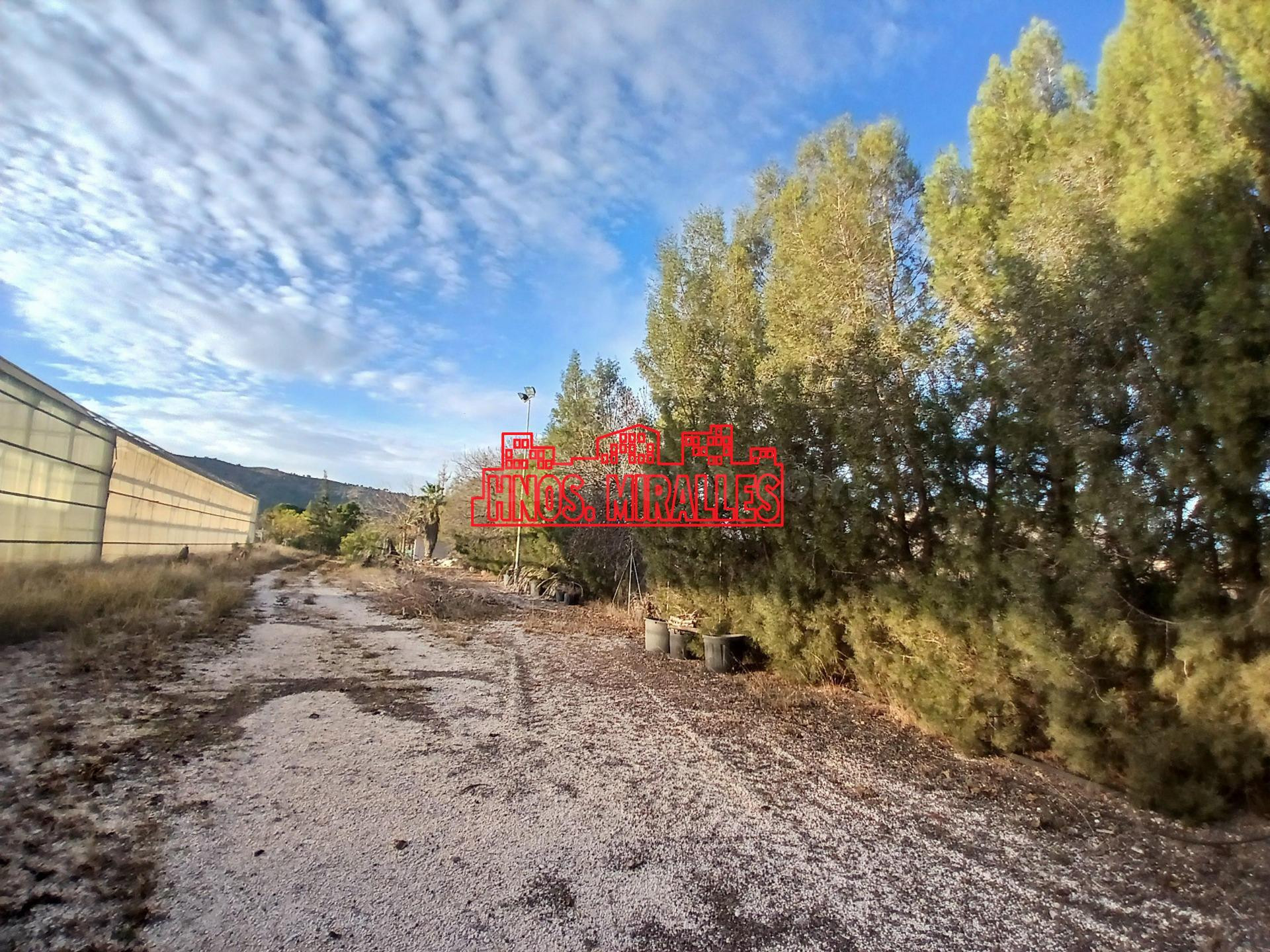 ¡¡ OPORTUNIDAD, CASA EN EL CAMPO DE ASPE CON 11200 m2 DE TER - foto 5