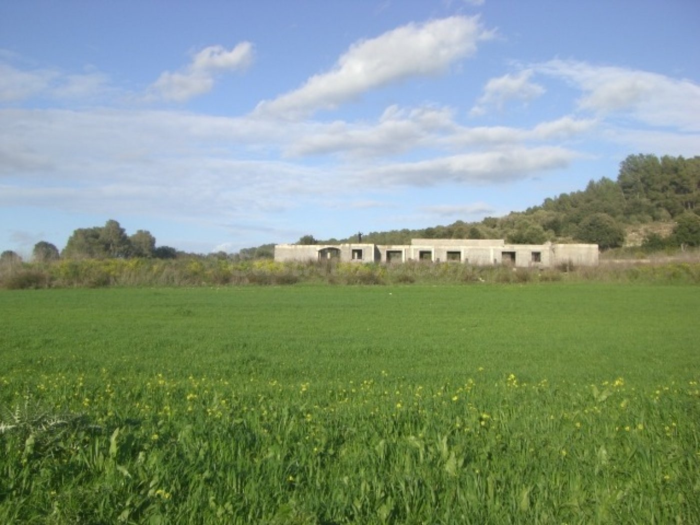 FINCA RÚSTICA EN ALGAIDA CON PROYECTO EN VENTA