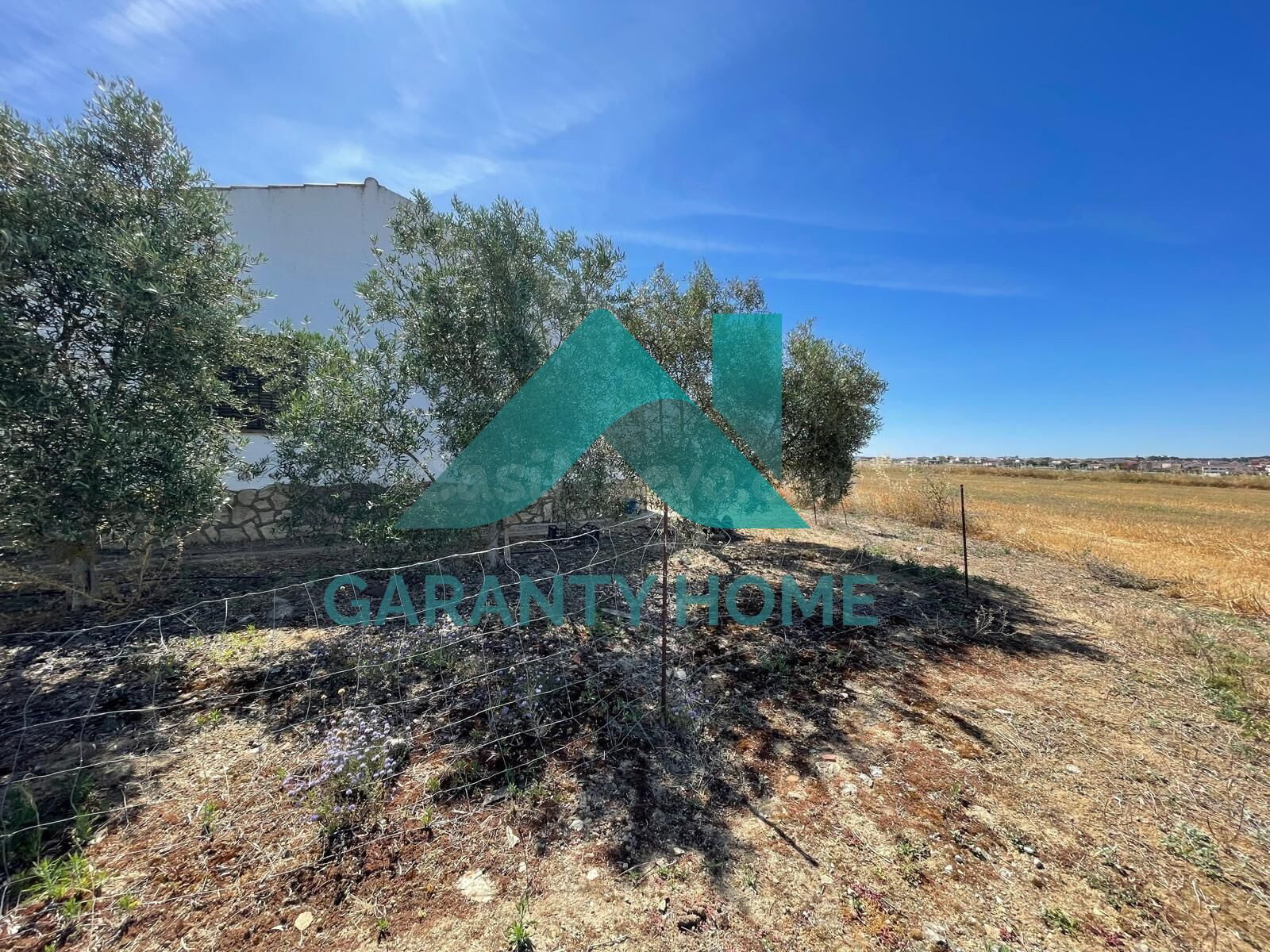 SE VENDE FINCA CON CASA DE CAMPO EN TORREORGAZ - foto 2