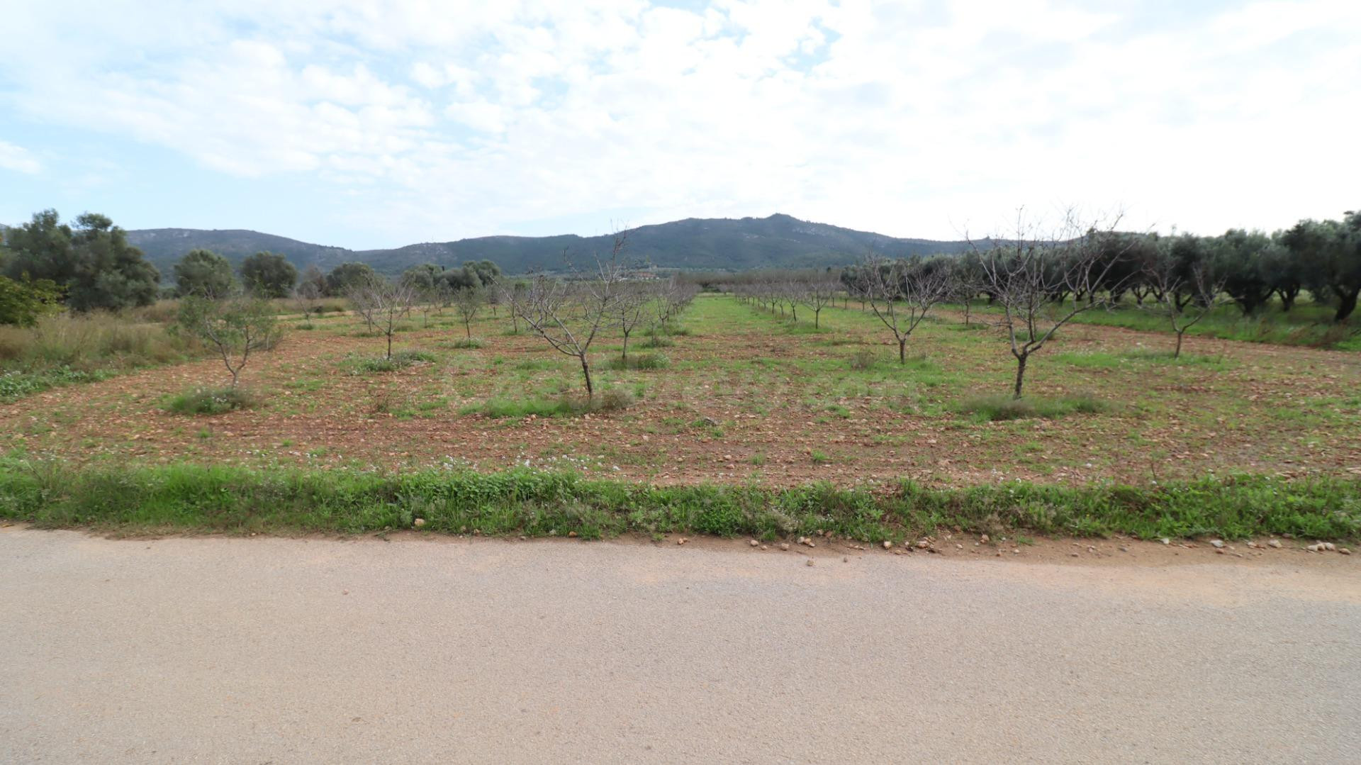 Finca de Almendros con almacén