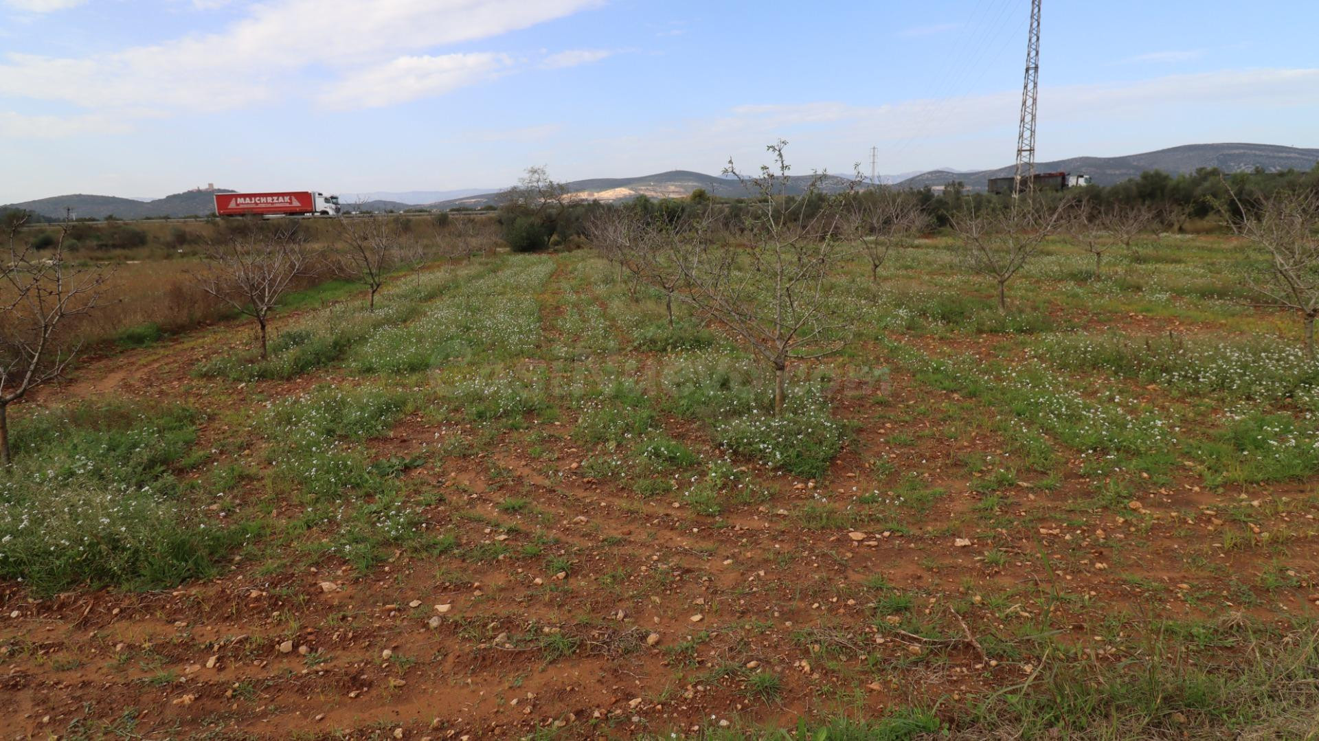 Finca de Almendros con almacén - foto 3