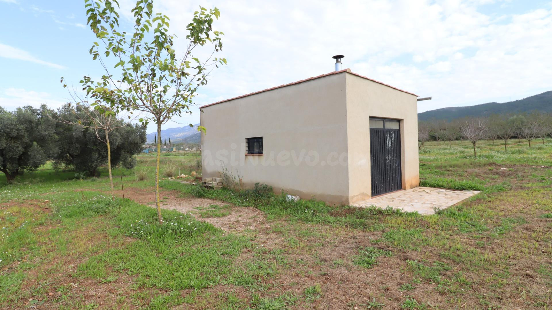 Finca de Almendros con almacén - foto 4