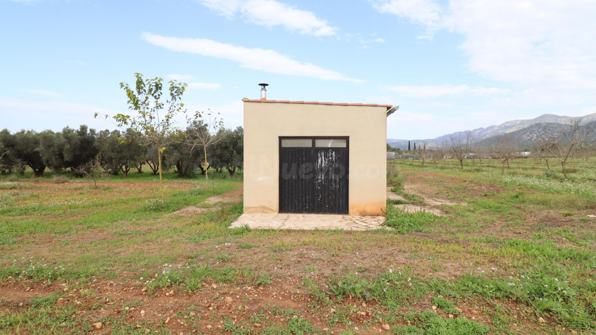 Finca de Almendros con almacén - foto 5