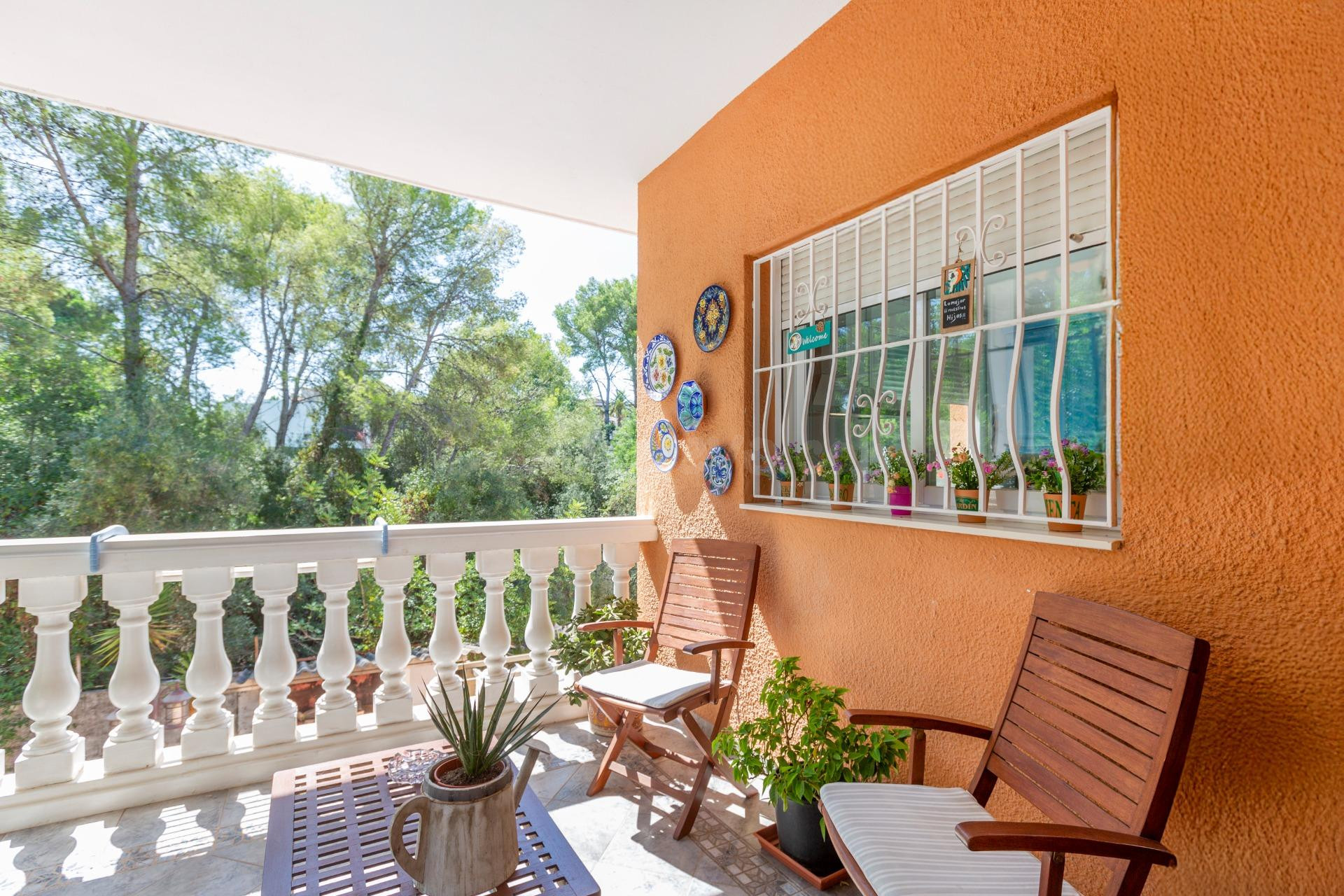 🌿 Vive el privilegio de residir en una de las zonas más exclusivas de Alzira - foto 4