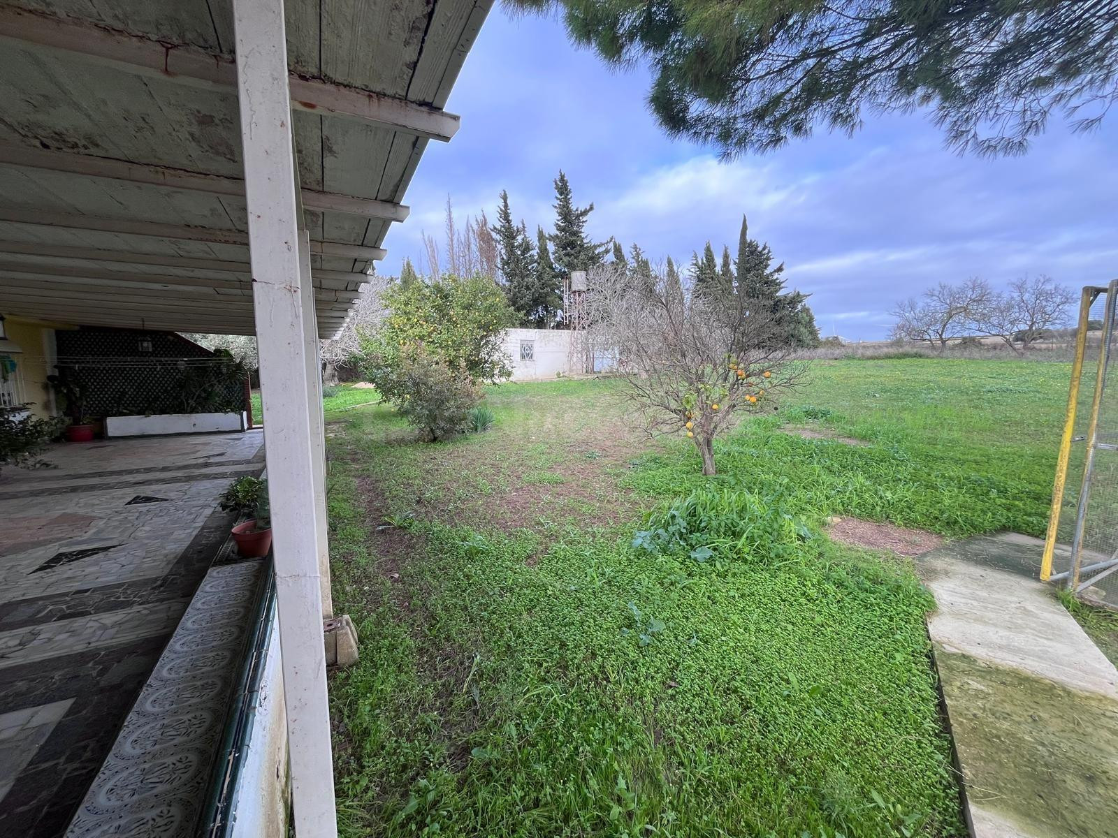Espectacular finca en El Marquesado – Espacio, privacidad y  - foto 2