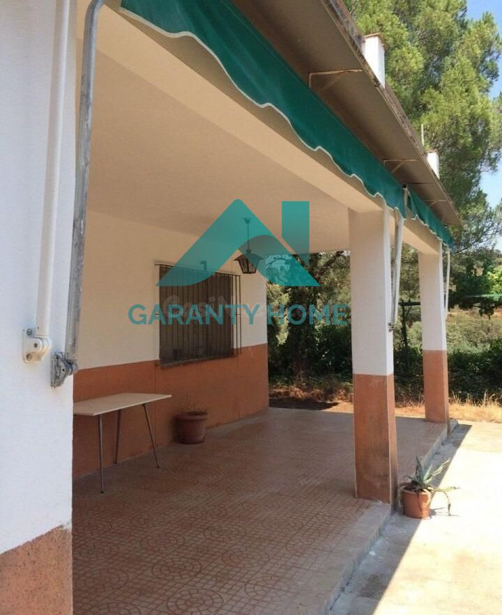 SE VENDE FINCA RUSTICA ZONA DE LA MONTAÑA - foto 2