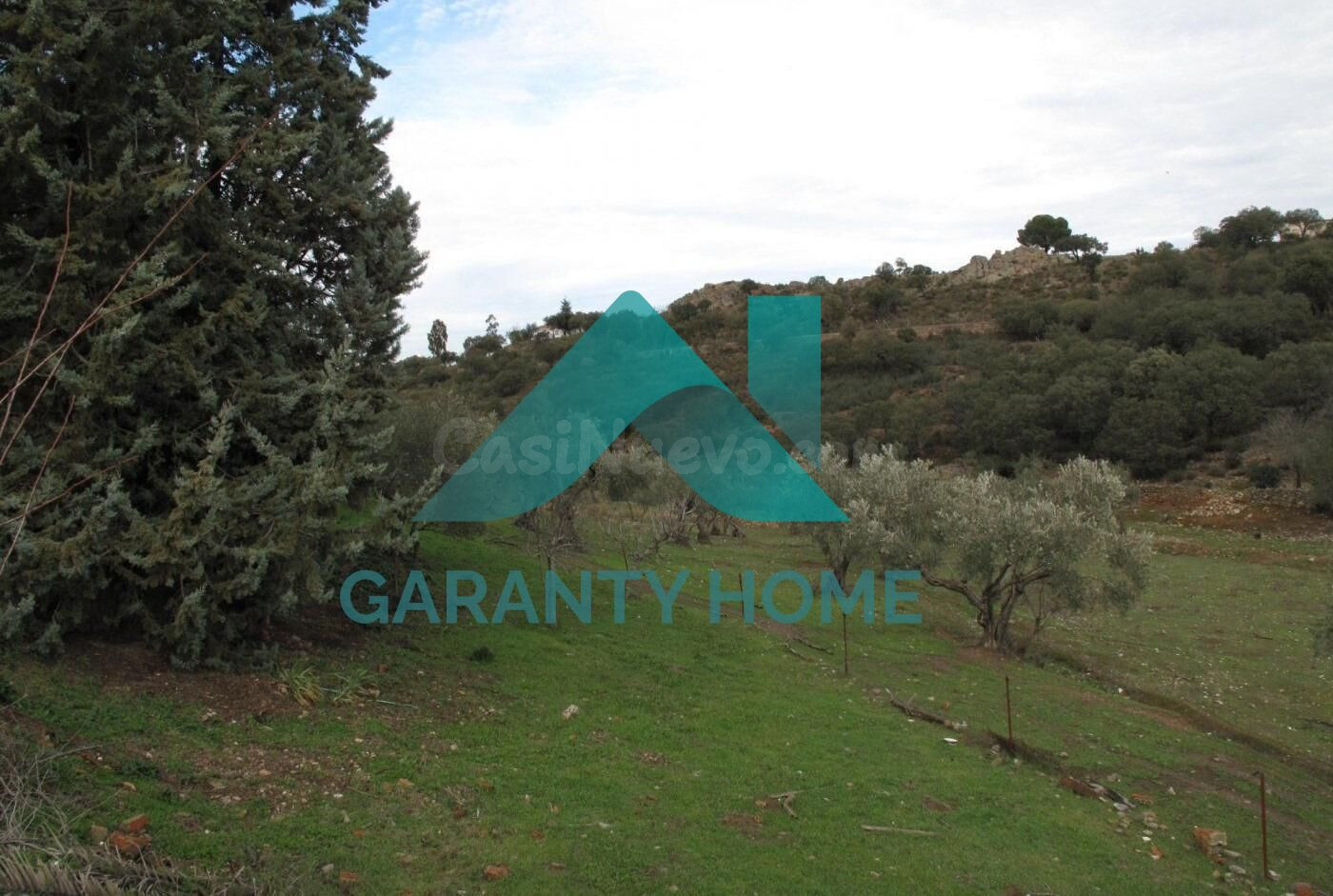 SE VENDE FINCA RUSTICA ZONA DE LA MONTAÑA - foto 3