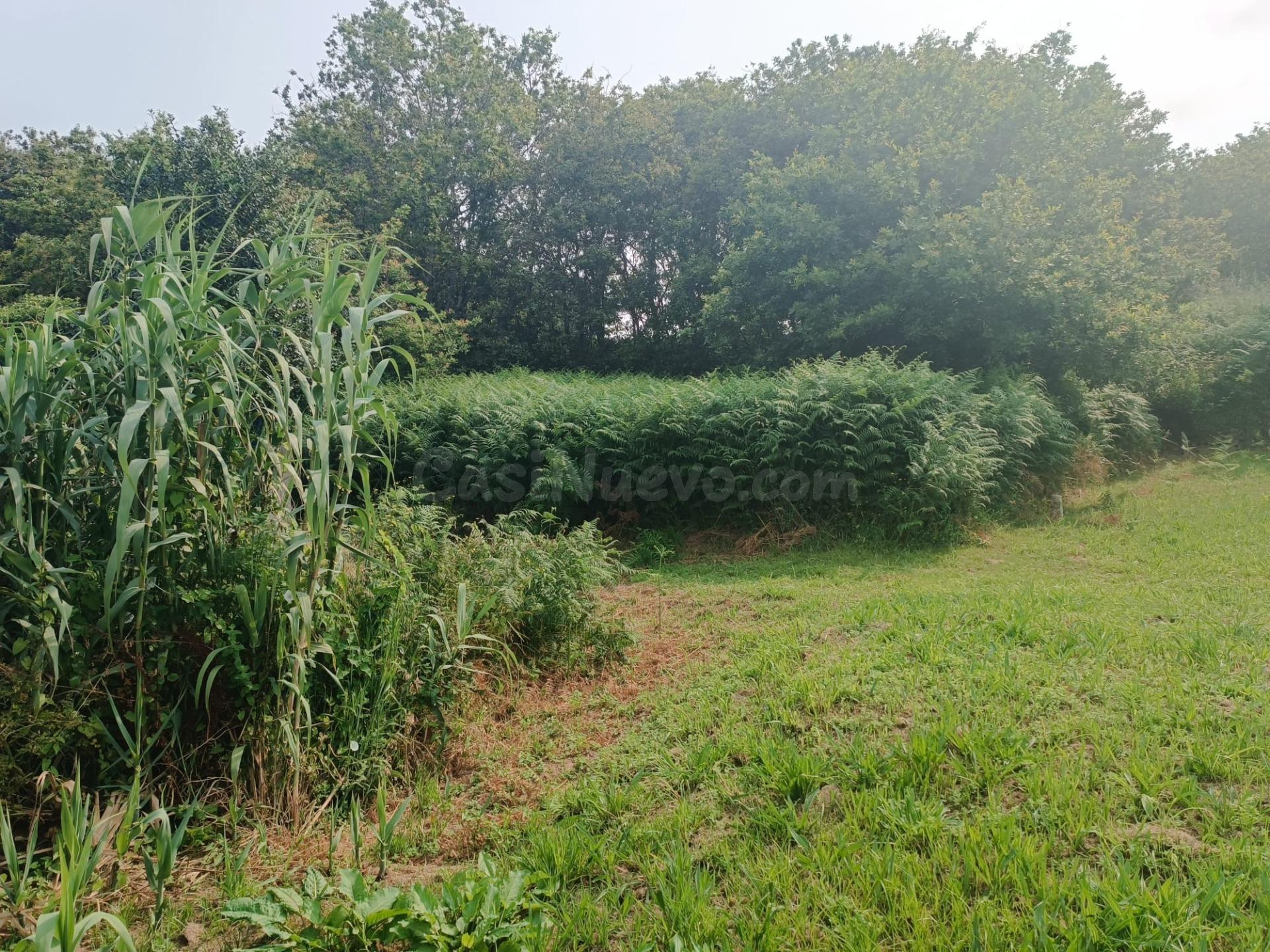 Venta de Terreno en Nagorol. Lugar Saianes