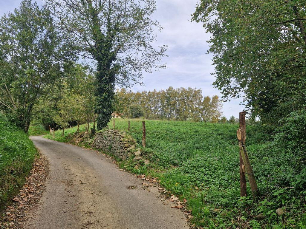 Terreno urbano en Zurita de Piélagos. - foto 4