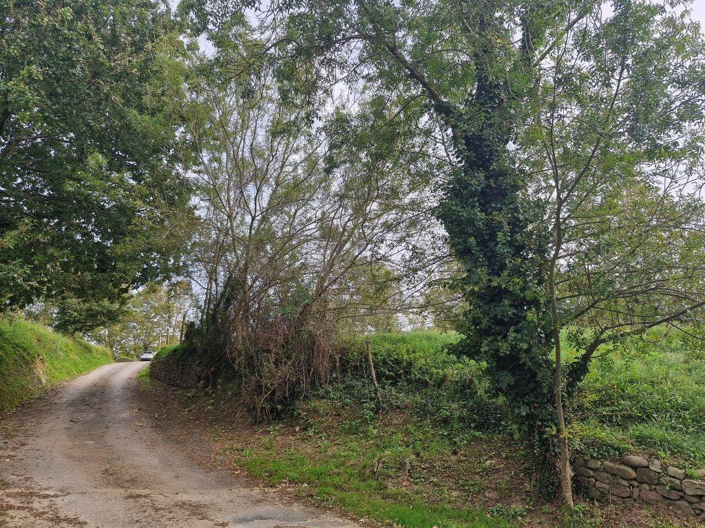 Terreno urbano en Zurita de Piélagos. - foto 5