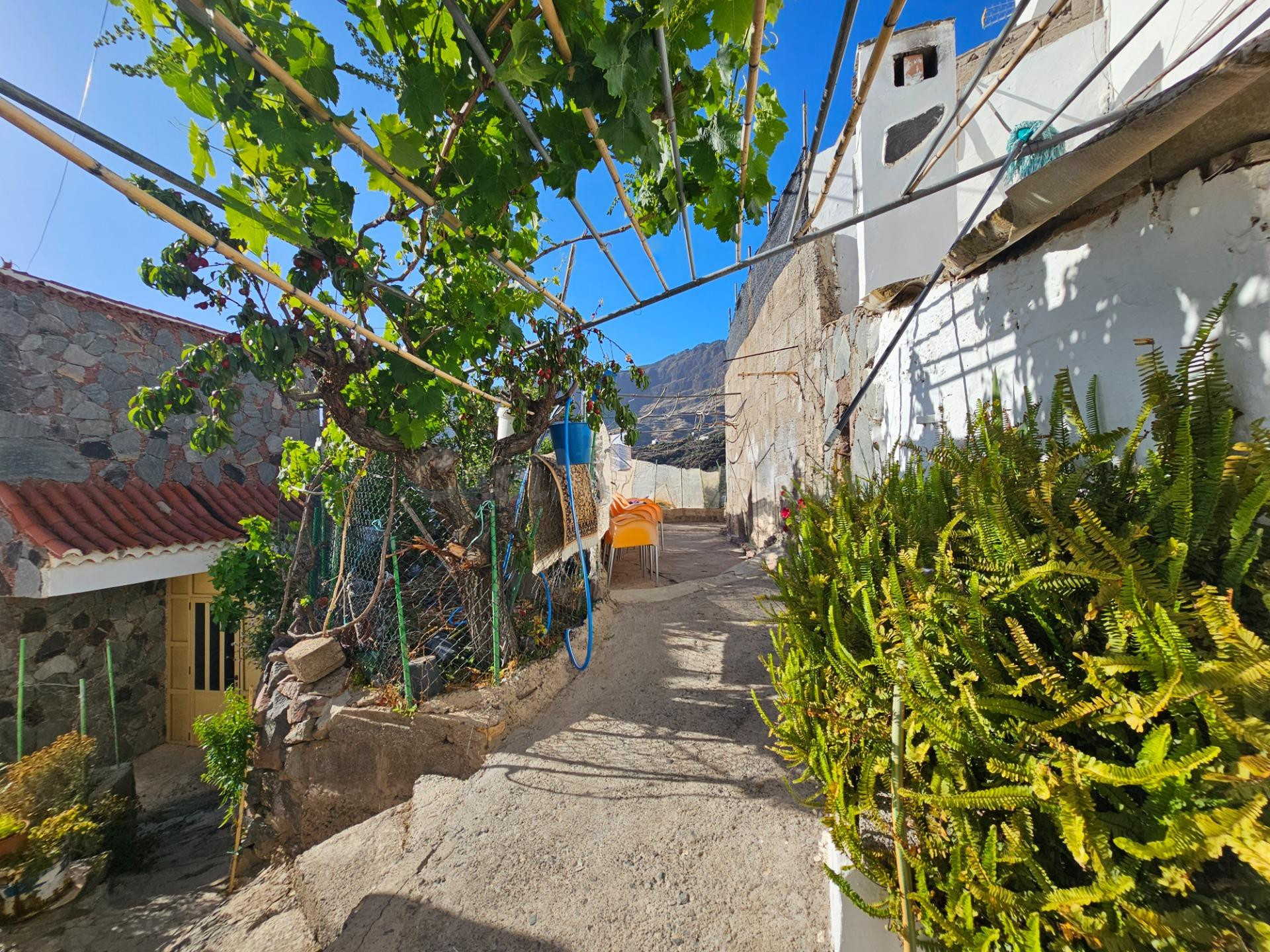 CASA TERRERA CON TERRENO EN TEJEDA - LAS PALMAS DE GRAN CANA - foto 2