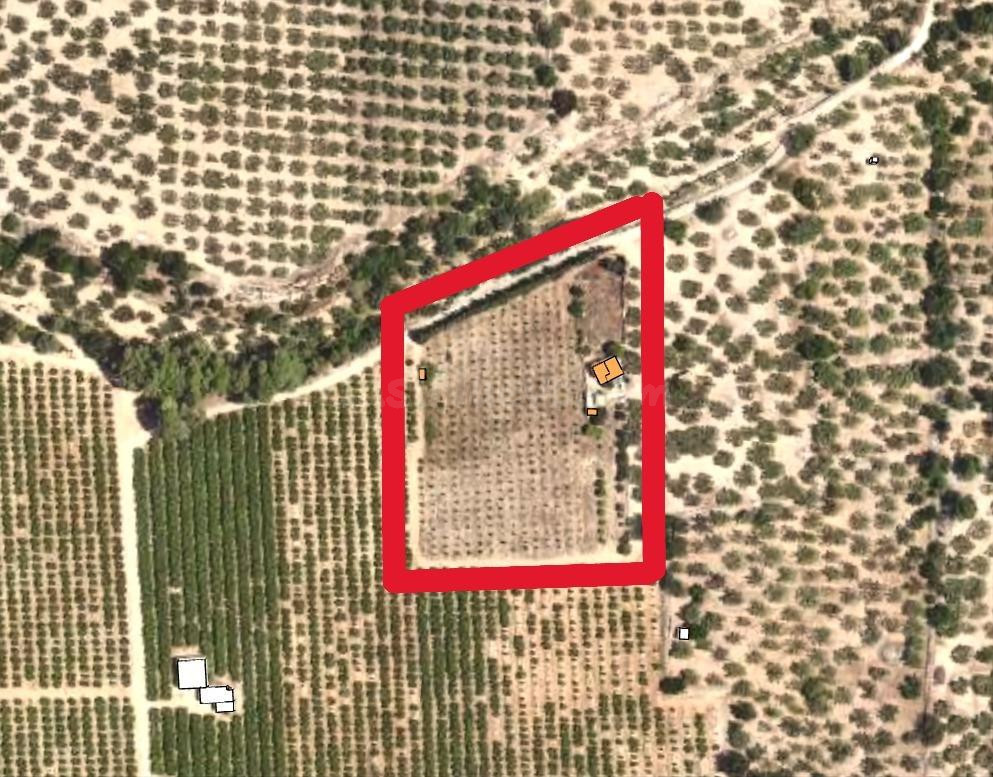 Parcela urbana + rústica en Les Coves (Santa Bàrbara, Tarragona) – 9.657 m2 con vivienda y zona de cultivo