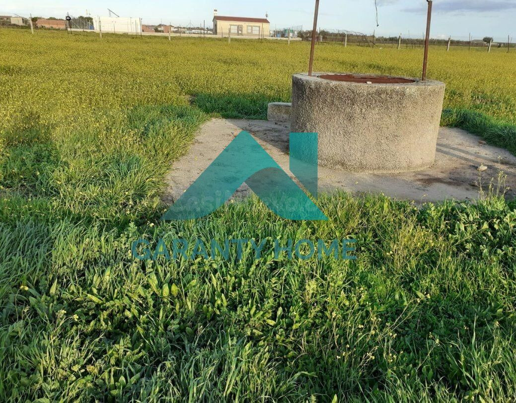 NAVE EN VENTA EN MALPARTIDA DE CÁCERES - foto 3