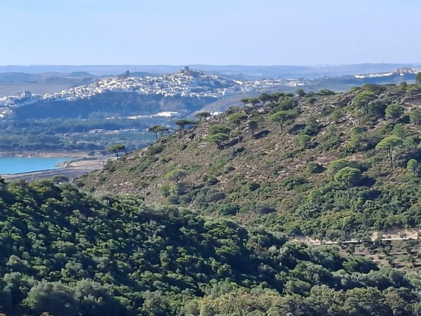 🌿 Finca Rústica en Venta en Arcos de la Frontera — 75 Hectáreas