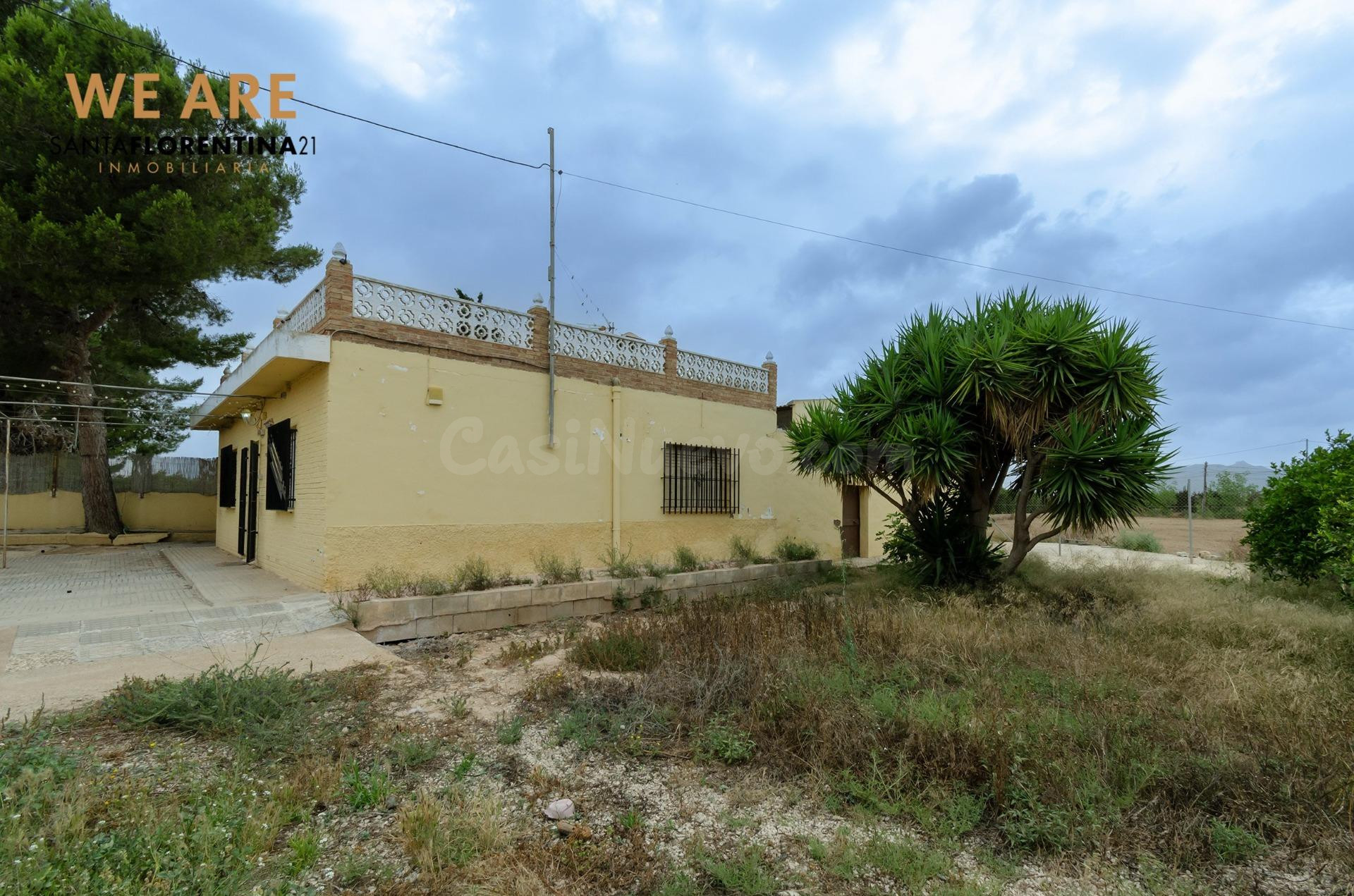 FINCA EN VENTA EN PARAJE LOS IBAÑEZ, BALSICAS...!!!!