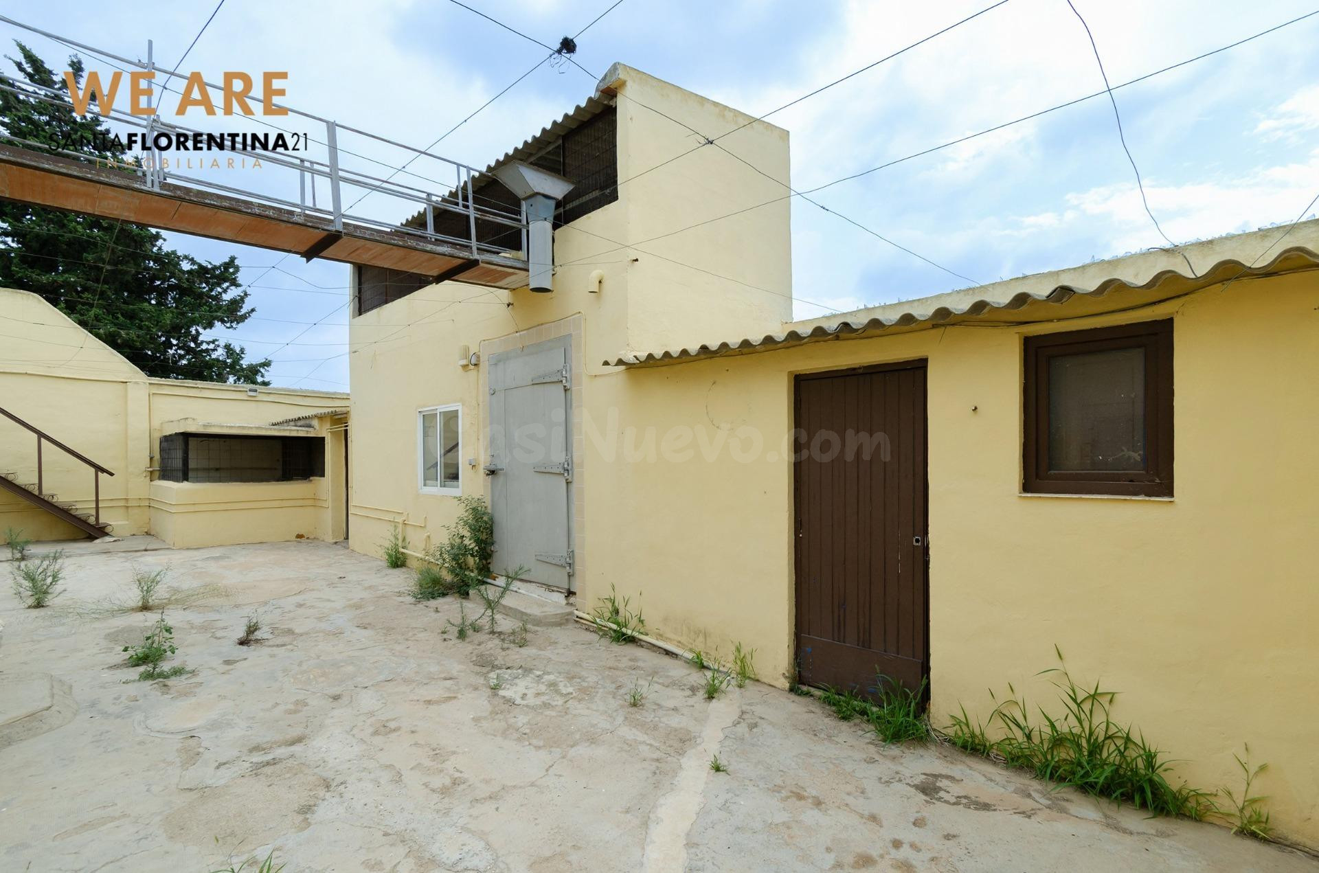 FINCA EN VENTA EN PARAJE LOS IBAÑEZ, BALSICAS...!!!! - foto 3