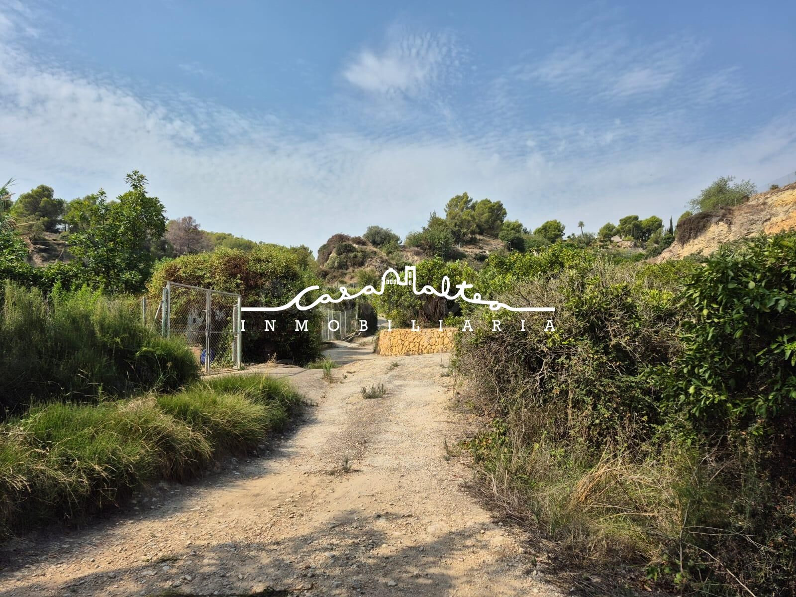 Terreno rural de regadío en zona de la Favara