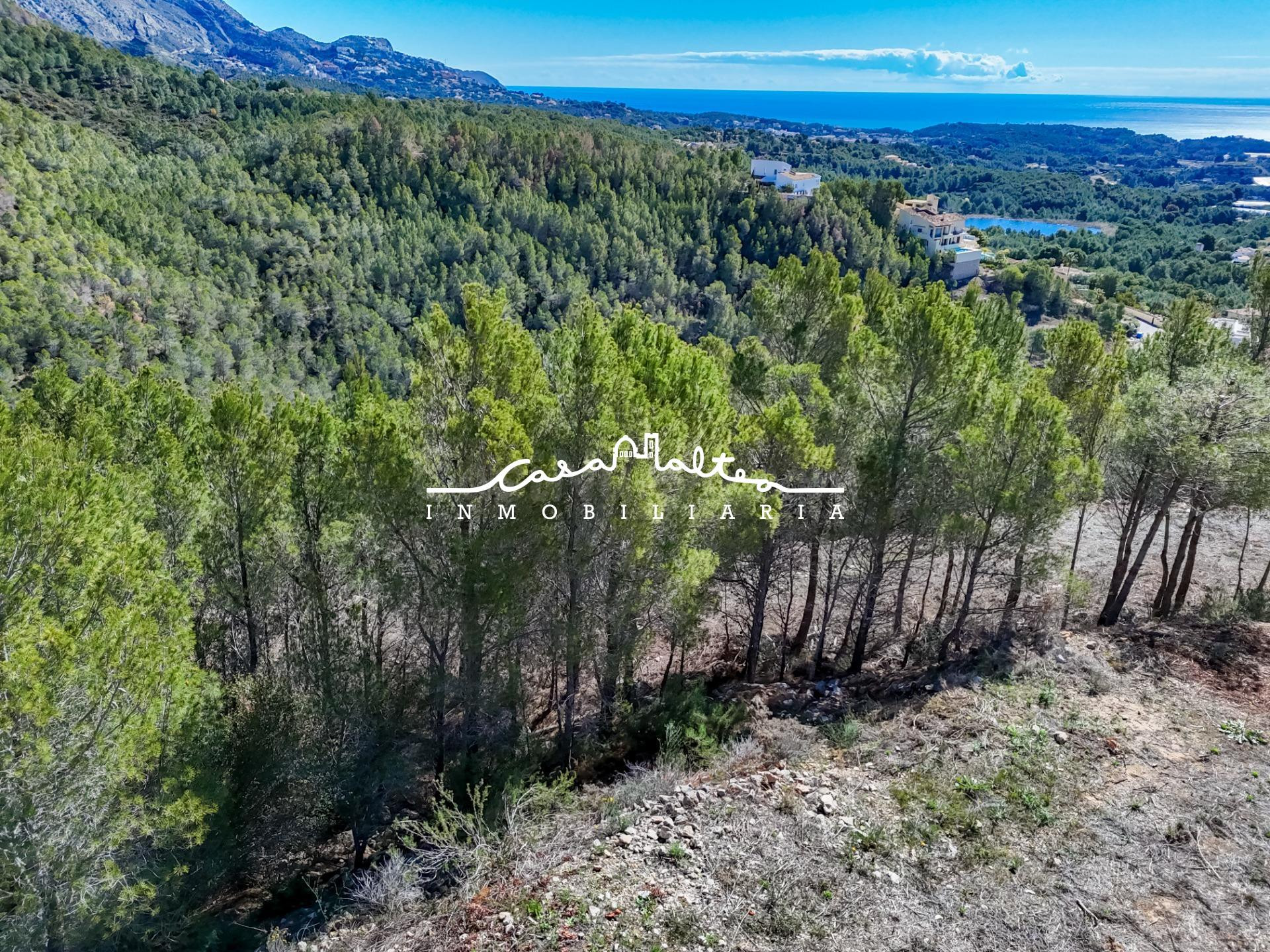 Se vende PARCELA URBANIZABLE en la urbanización Santa Clara - foto 4