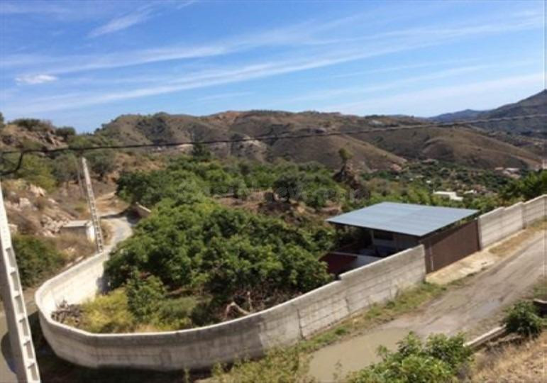 Finca rústica de AGUACATES con CONTRUCCIÓN de 37 m2 en Los G - foto 3
