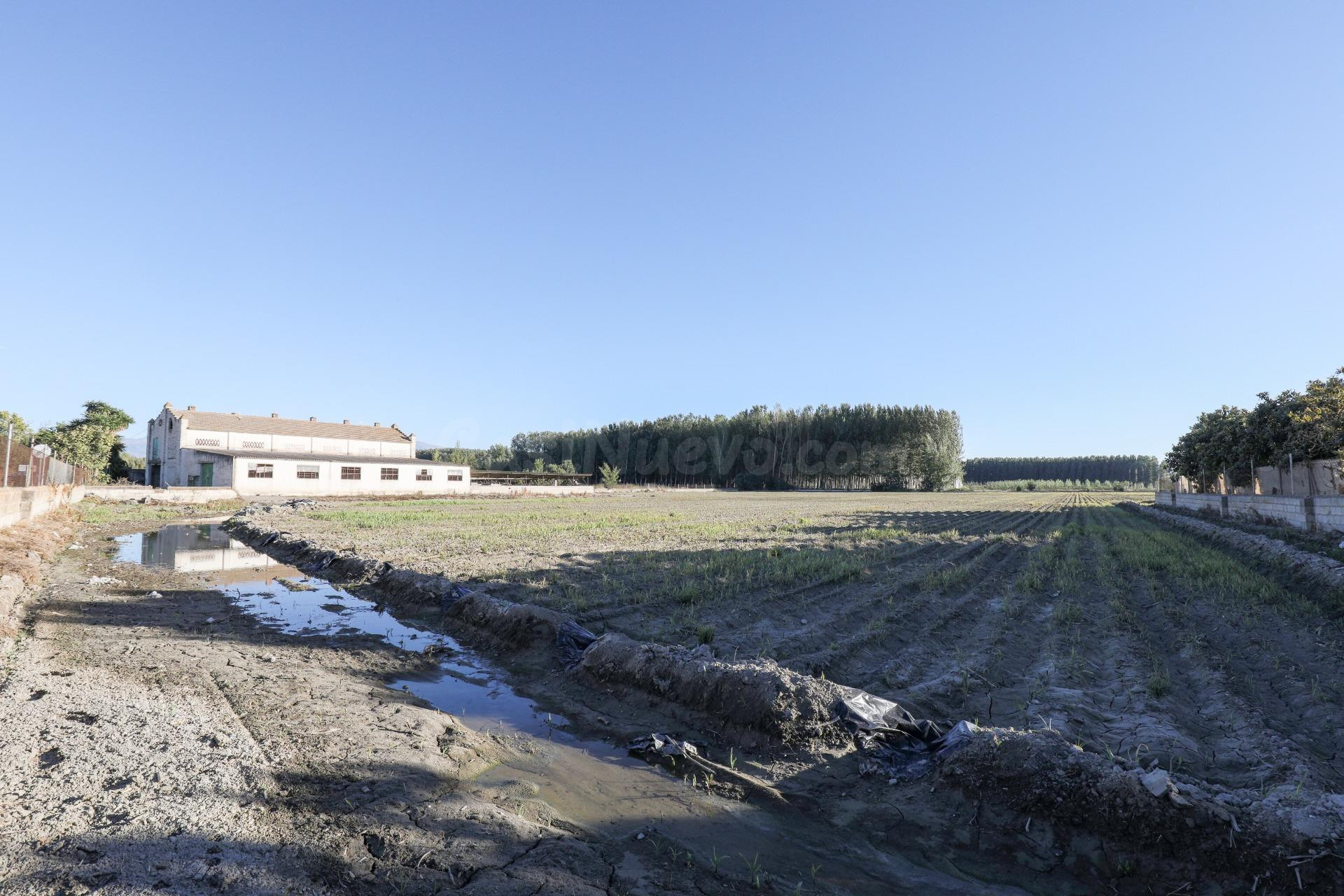 Gran finca Rústica y Urbana de 23.000 metros y construcción de 326 metros cuadrados en Fuente Vaqueros