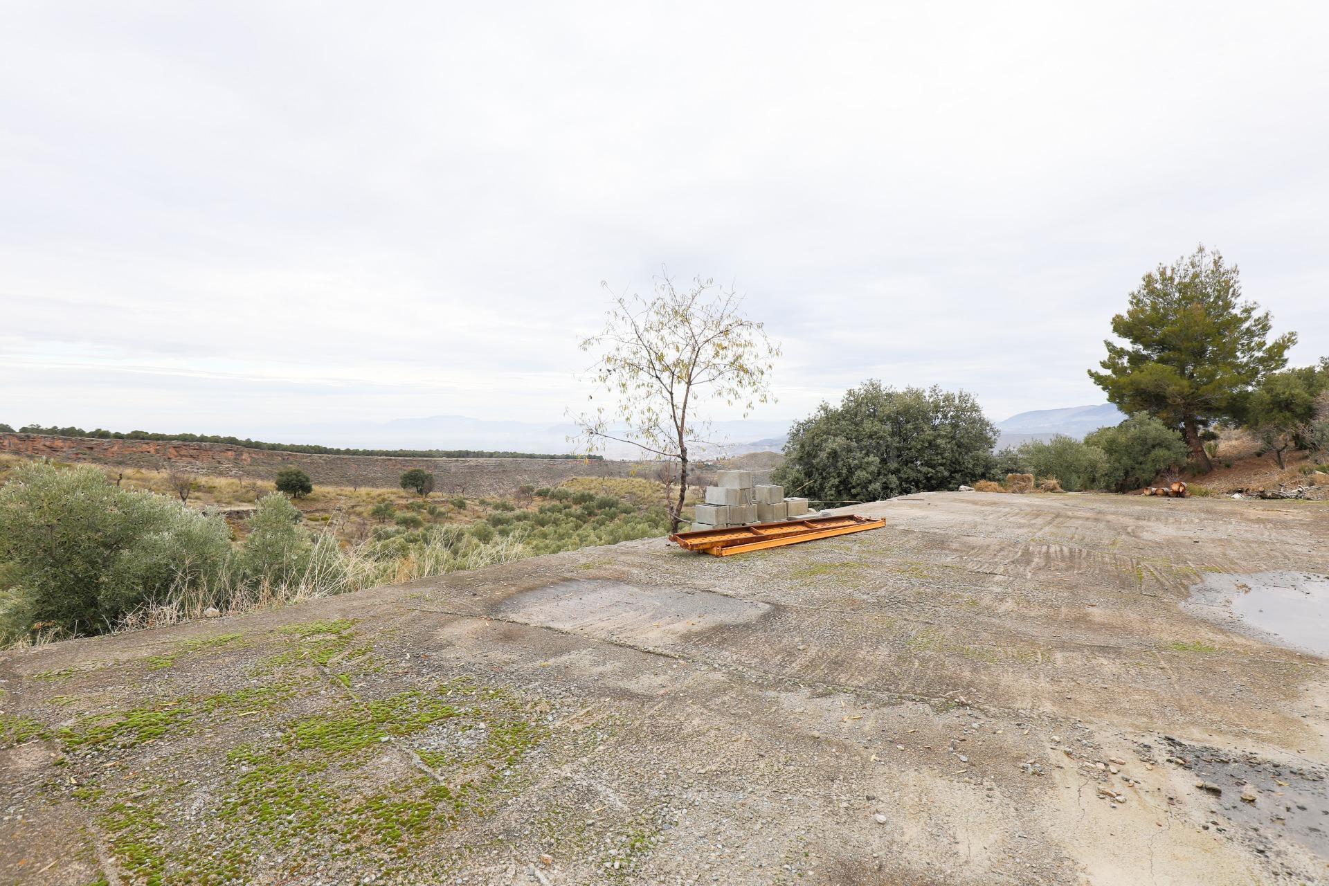 Magnífica finca de 400 olivos en Monachil
