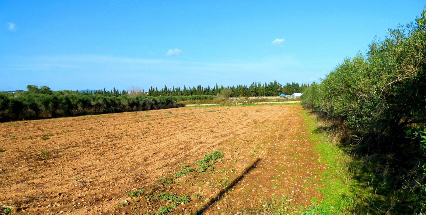 Finca rústica en Camí Vell de Cubelles con casa a rehabilitar