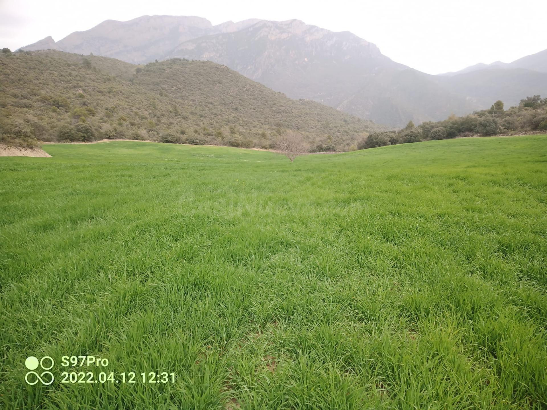 IMPRESIONANTE FINCA! Fantástica Finca en Ager de 110.000 m2