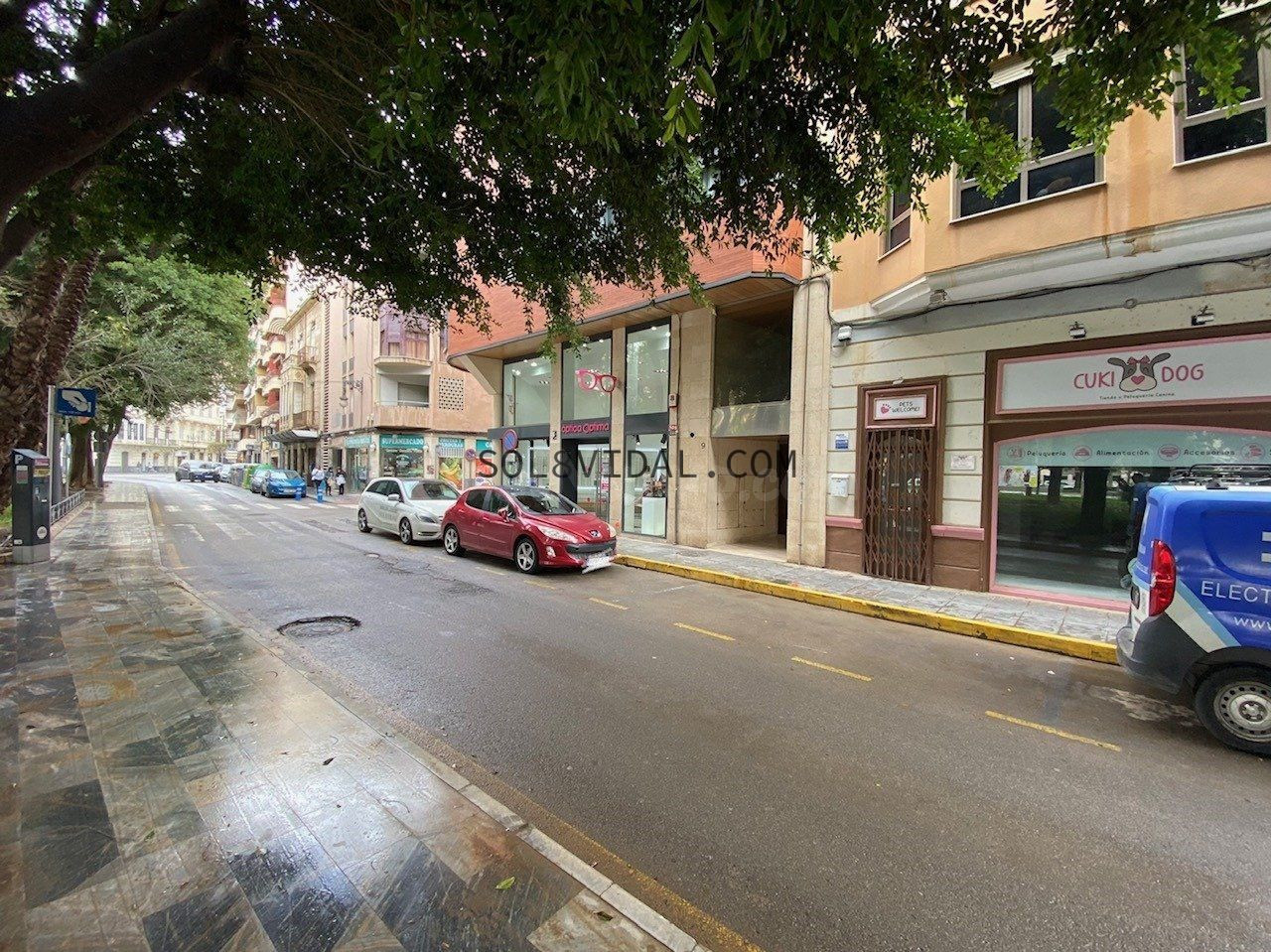 LOCAL COMERCIAL 250 M2 EN LA GLORIETA GABRIEL MIRO DE ORIHUELA