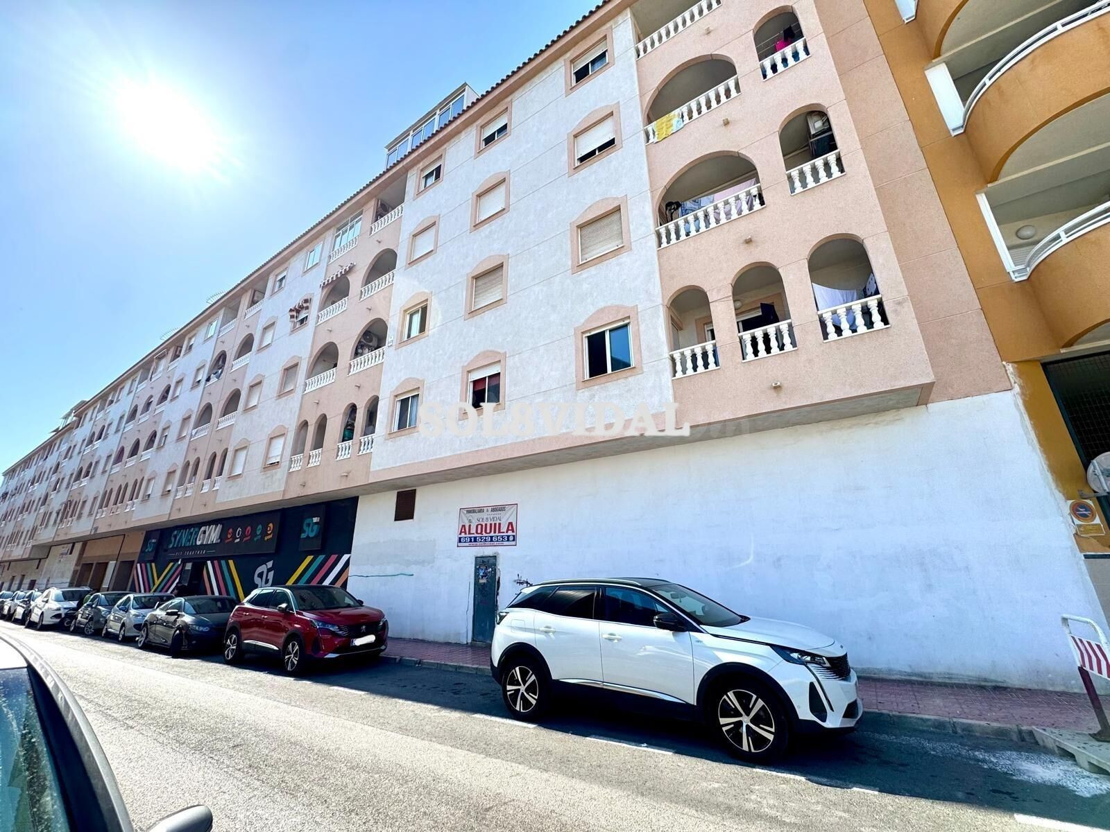 El local MÁS GRANDE del centro de Torrevieja