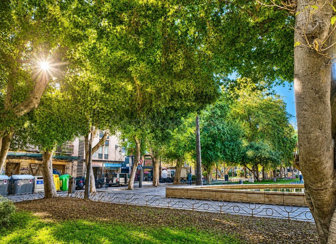 PISO EN ORIHUELA CENTRO, ZONA ANDENES