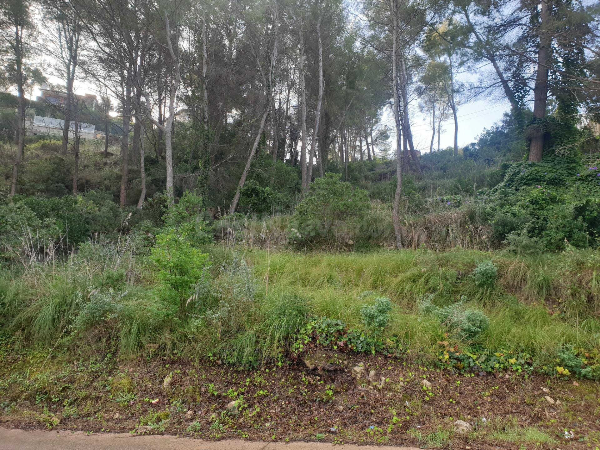 EN VENTA PARCELA EN LA URB. MAS MESTRES DE OLIVELLA DE 1.348 M2 QUE DA A DOS CALLES