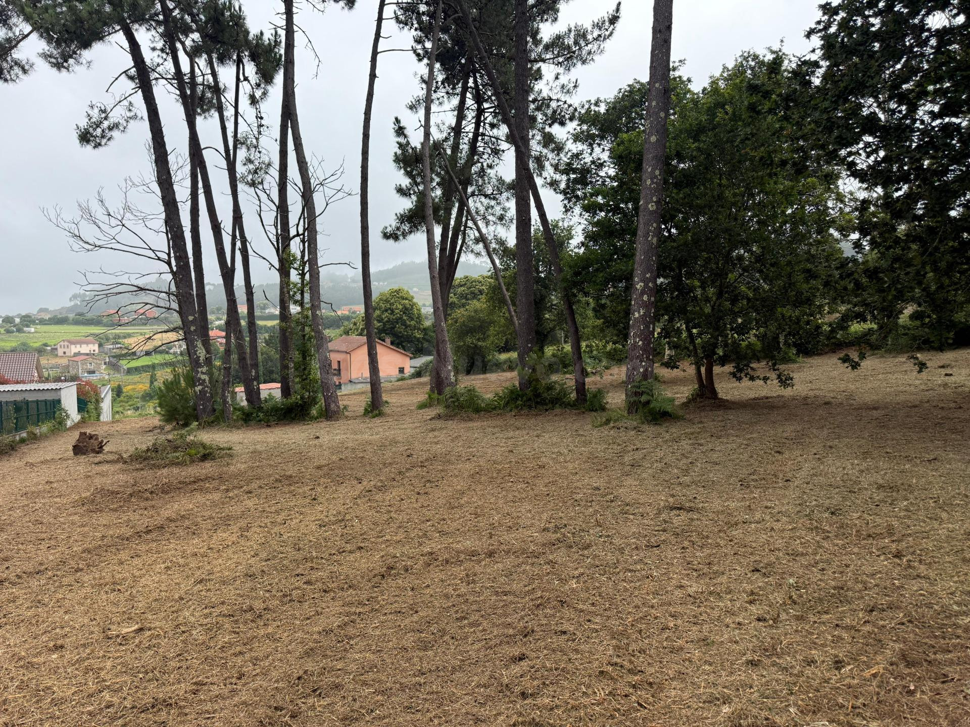 Oportunidad única! Parcela de 2.748,00 m2 en Armentón-Arteixo!!!