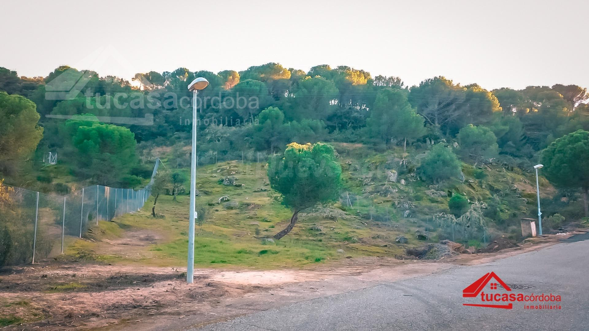 Terreno exclusivo en Trassierra - Las Jaras:  tu oportunidad para construir el hogar de tus sueños