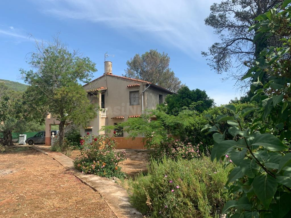 TU CASA CON TERRENO EN LA LLACUNA (VILLALONGA)