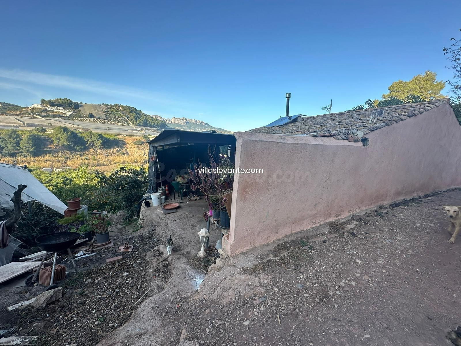 FINCA RUSTICA EN PLENA EXPLOTACION - foto 4