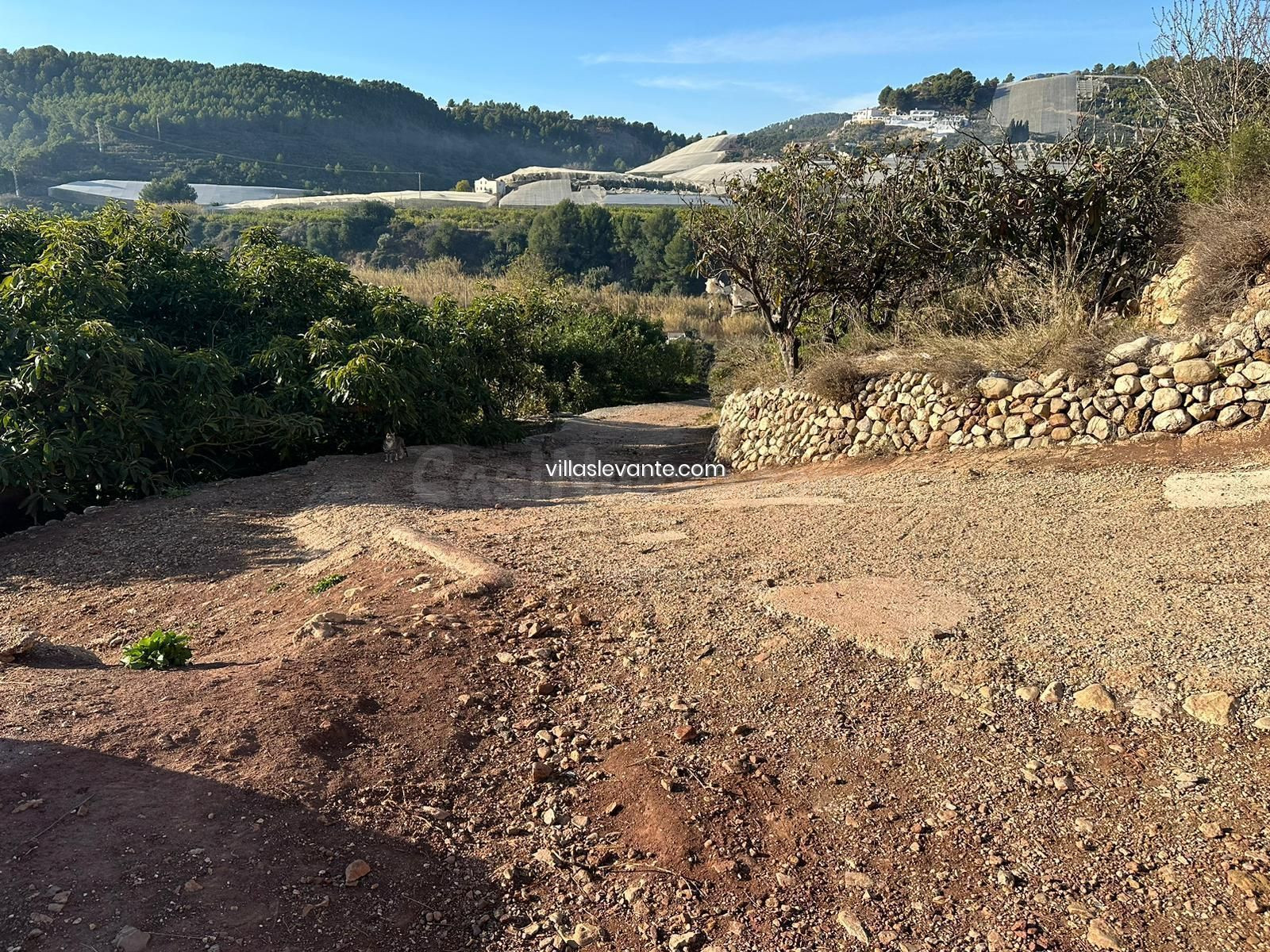FINCA RUSTICA EN PLENA EXPLOTACION - foto 5
