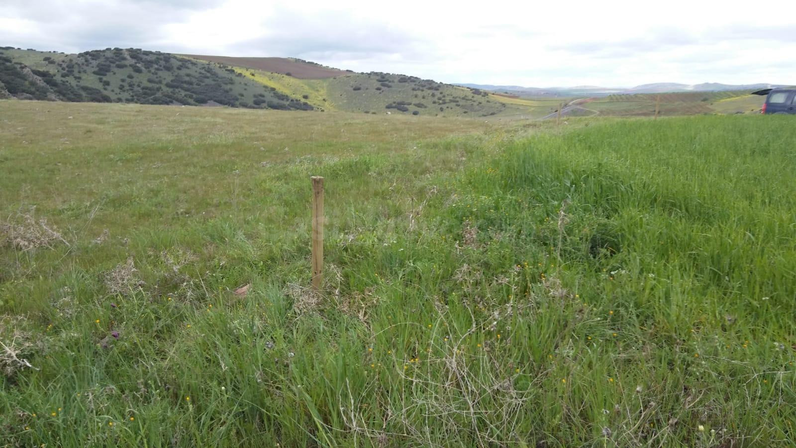 GRAN TERRENO RUSTICO EN CIUDAD REAL