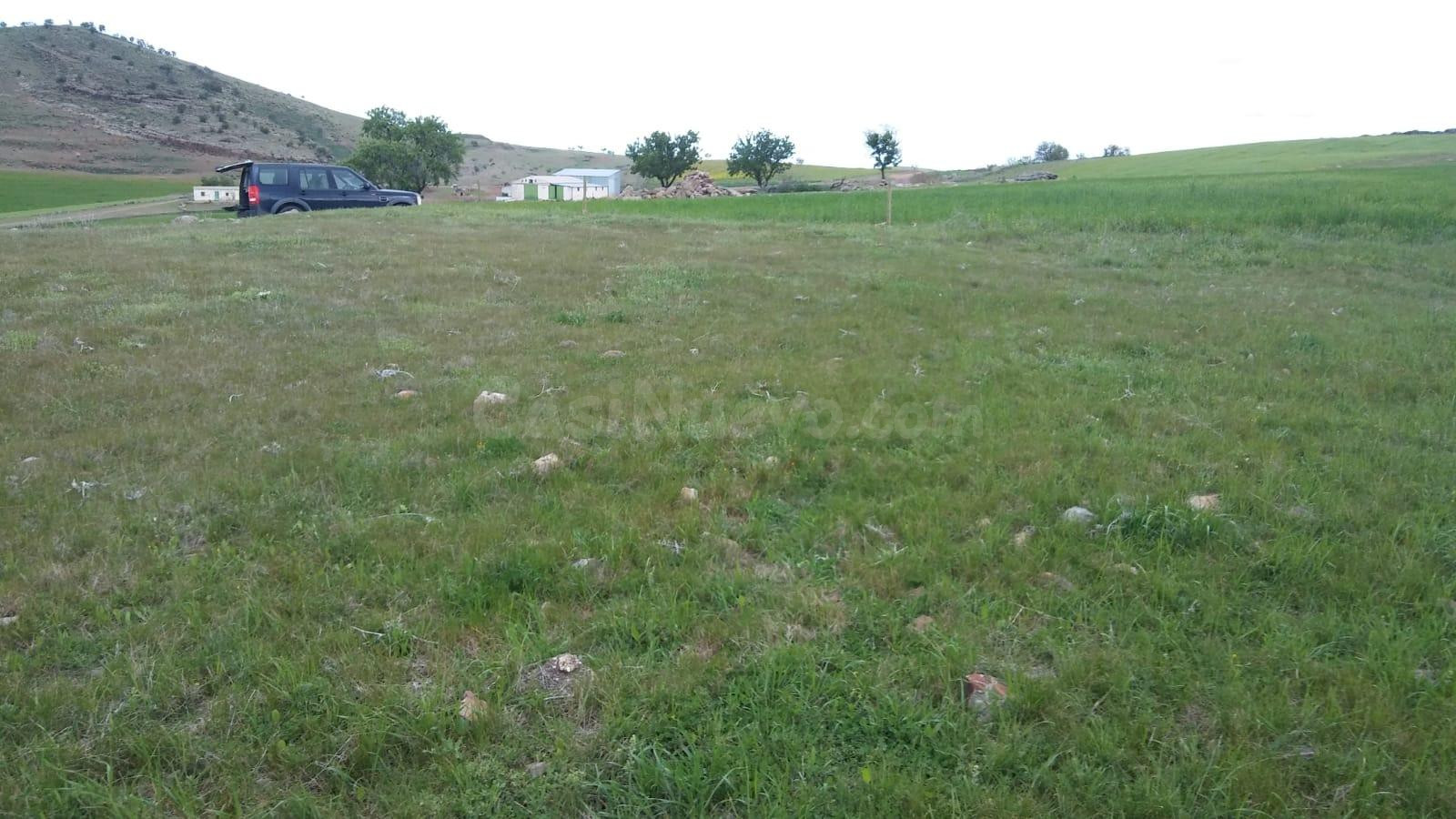 GRAN TERRENO RUSTICO EN CIUDAD REAL - foto 2