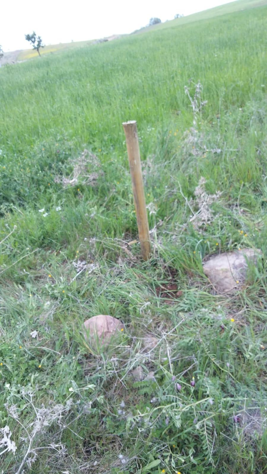 GRAN TERRENO RUSTICO EN CIUDAD REAL - foto 3