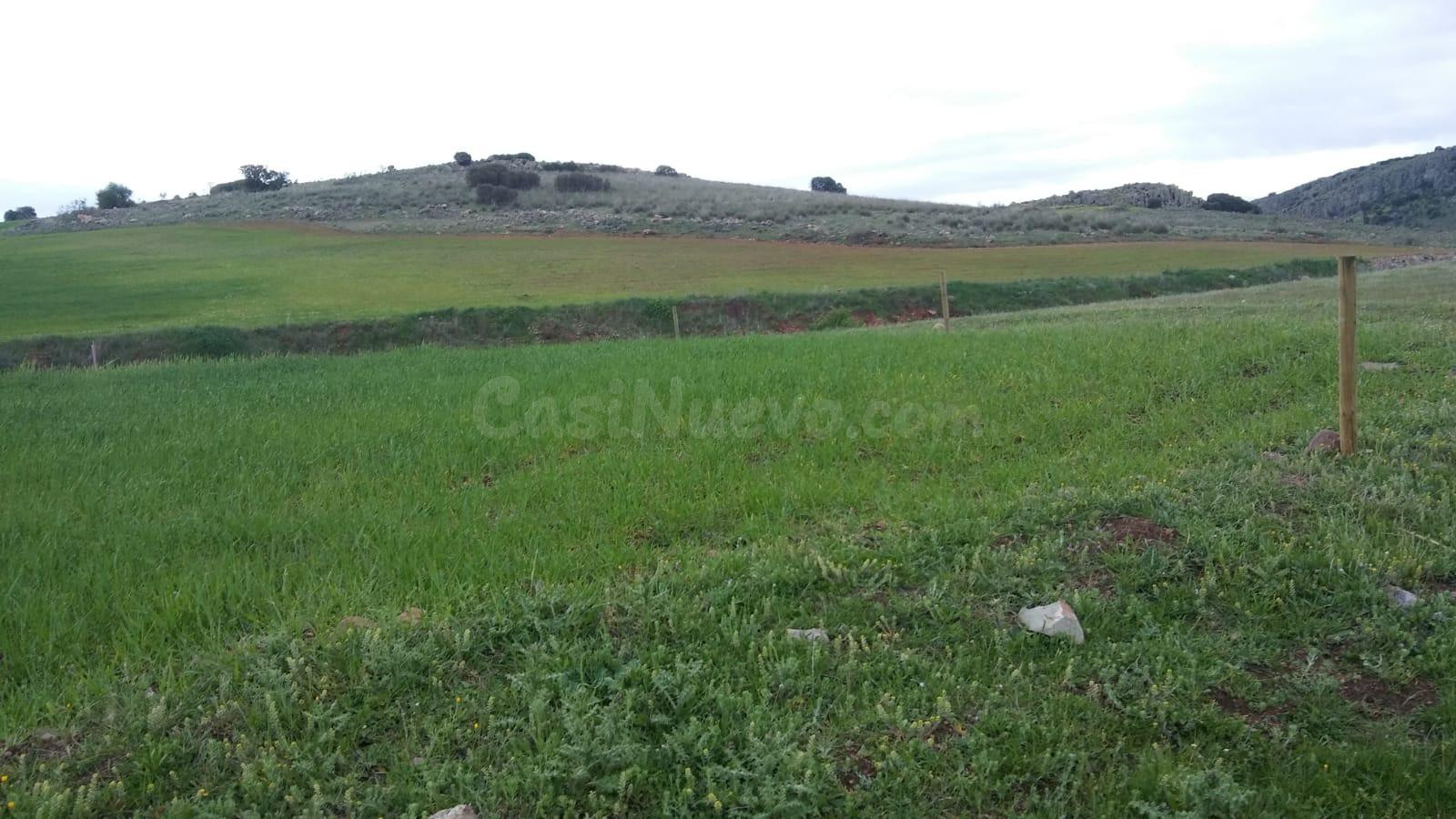 GRAN TERRENO RUSTICO EN CIUDAD REAL - foto 4