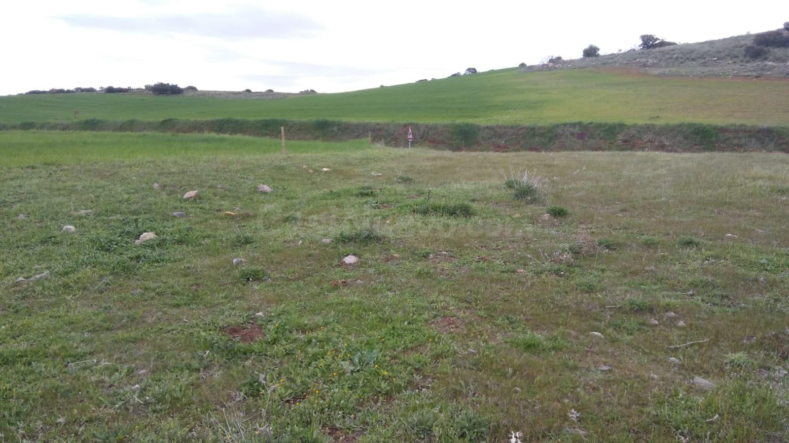 GRAN TERRENO RUSTICO EN CIUDAD REAL - foto 5
